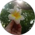 ATRAYEE GHOSH